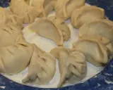 Assiette de ravioli pekinois crus, prêts à être cuisinés. La pâte est fine et plissée, prête à accueillir une garniture savoureuse.